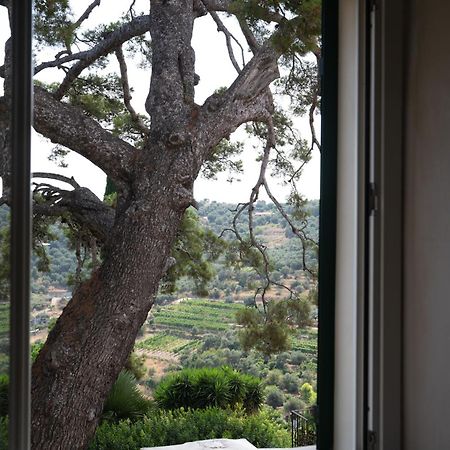Uliveto Saglietto Agriturismo A Poggi Apartments 임페리아 외부 사진