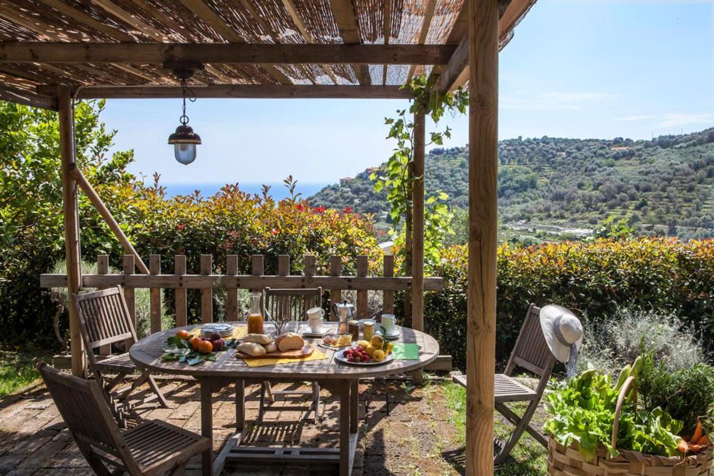 Uliveto Saglietto Agriturismo A Poggi Apartments 임페리아 외부 사진