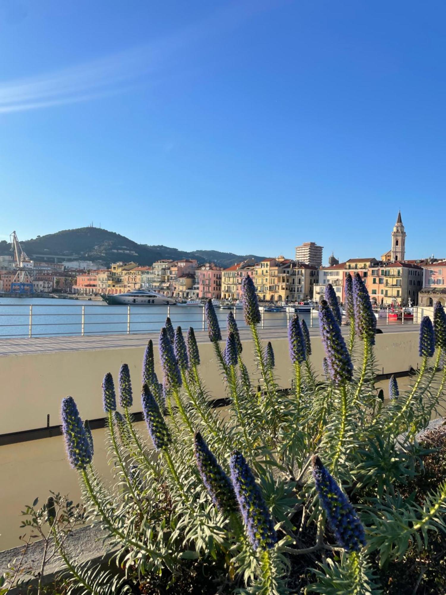 Uliveto Saglietto Agriturismo A Poggi Apartments 임페리아 외부 사진