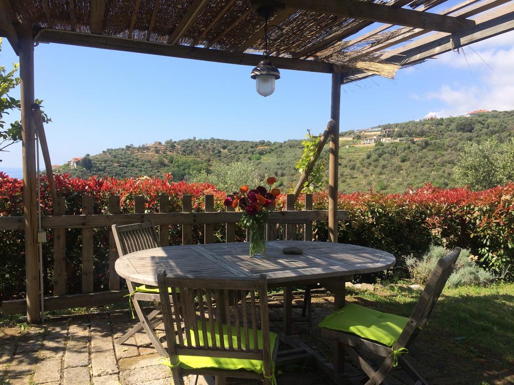 Uliveto Saglietto Agriturismo A Poggi Apartments 임페리아 외부 사진