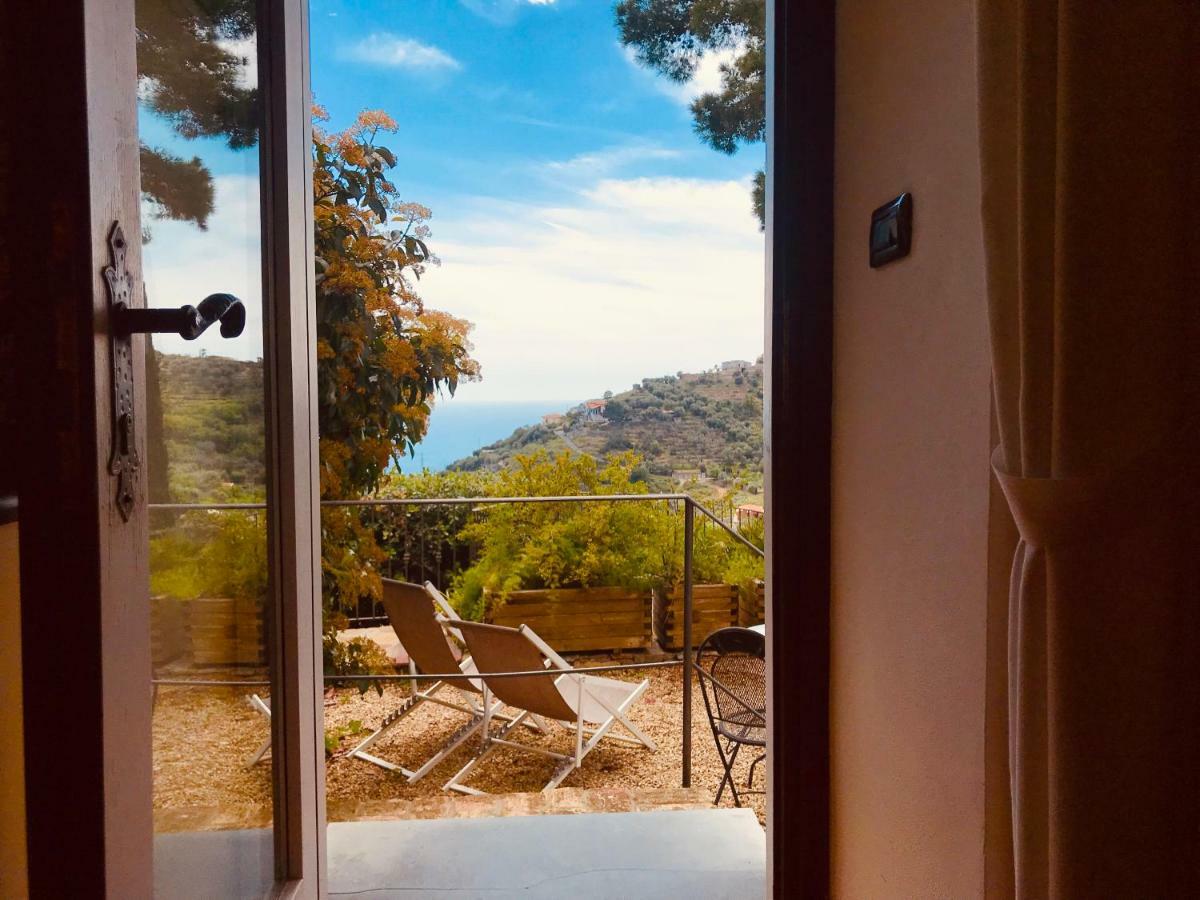 Uliveto Saglietto Agriturismo A Poggi Apartments 임페리아 외부 사진