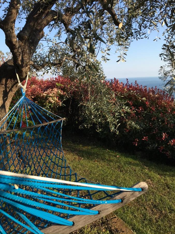 Uliveto Saglietto Agriturismo A Poggi Apartments 임페리아 외부 사진